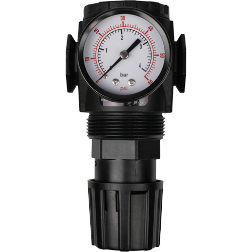 MODULAIR 300 Compressed Air Regulator, 1/2" NPT, 300 psi Max. PSI, In Line/Modular WestPier
