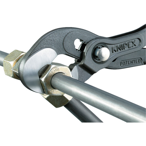 Pince Raptor, 10" WestPier
