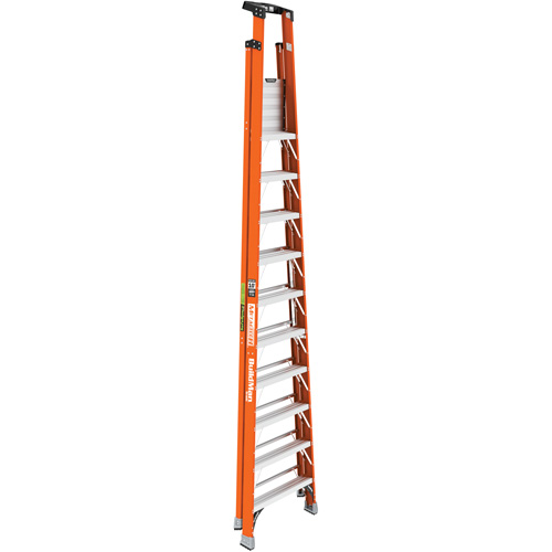Safespace Platform Step Ladder, 10', 300 lbs. Cap. WestPier