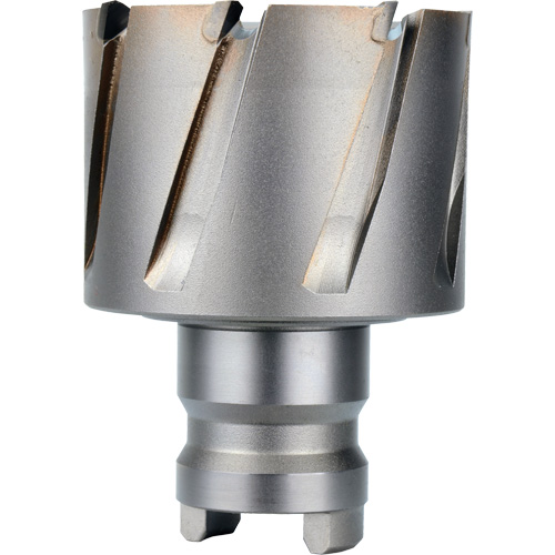 Fraise avec tenon &agrave; changement rapide Drive Hawg, Diam&egrave;tre de 2", Acier, Profondeur de la coupe de 1" WestPier