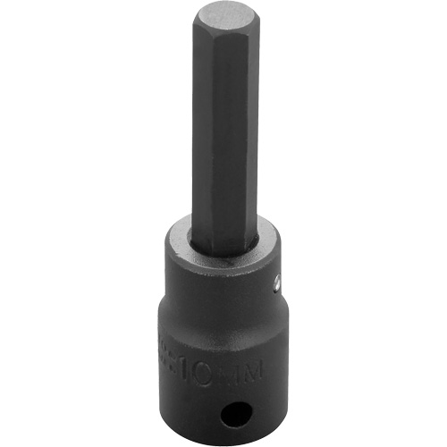 Socket Bit, Hex, 10 mm x 3-1/4" L, 1/2" Drive WestPier