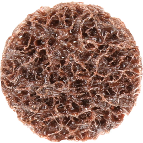 Standard Abrasives Quick-Change Surface Conditioning Disc, 3/4" Dia., Coarse Grit, Aluminum Oxide WestPier