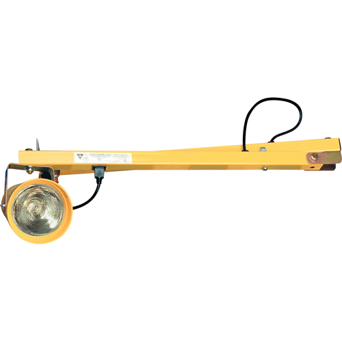 Dock Lights, 40" Arm, Incandescent Lamp, Polycarbonate WestPier