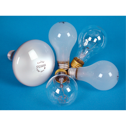 LAMPE INCANDESCENTE,25W,130V,GIVREE,2/PQT WestPier