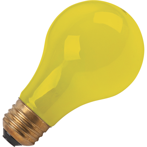 LAMPE INCANDESCENTE,BUG-LITE,60W,120V,2/PQT WestPier