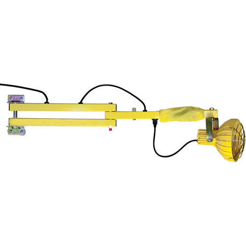 Dock Loading Lights with Flexible Arm, Incandescent Light, 40" Arm WestPier
