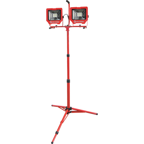 Baladeuses jumel&eacute;es avec tr&eacute;pied, DEL, 72 W, 8000 lumens, Boîtier en Aluminium WestPier