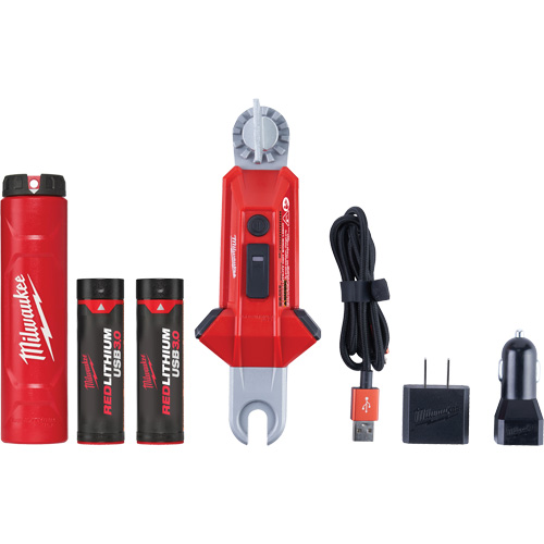 Lampe USB polyvalente REDLITHIUM pour perche isolante, DEL, Piles Rechargeable, Aluminium WestPier