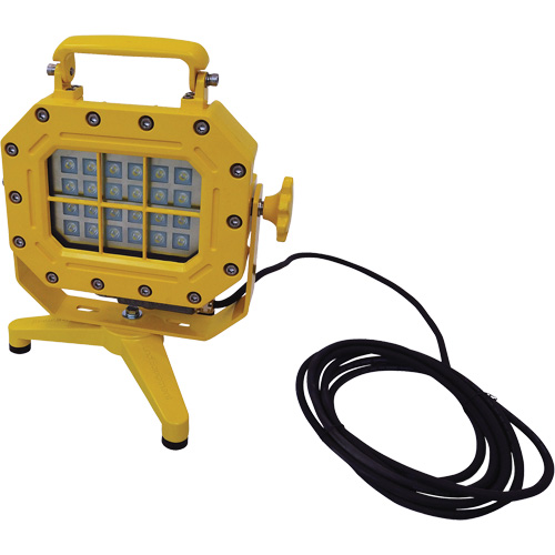 Explosion Proof Floodlight with Stand, LED, 40 W, 5600 Lumens, Aluminum Housing WestPier