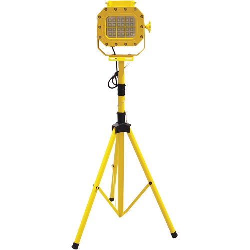 Explosion Proof Floodlight with Tripod, LED, 40 W, 5600 Lumens, Aluminum Housing WestPier