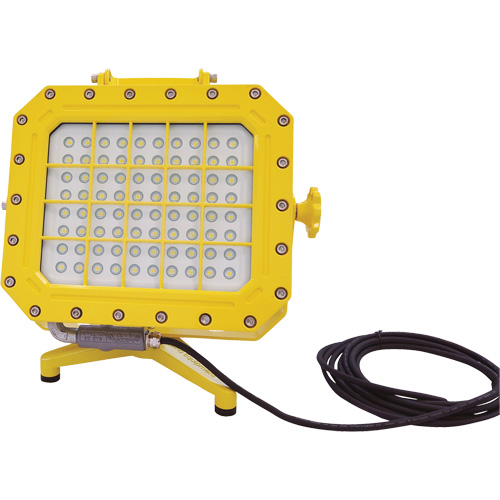 Explosion Proof Floodlight with Floor Stand, LED, 40 W, 5600 Lumens, Aluminum Housing WestPier