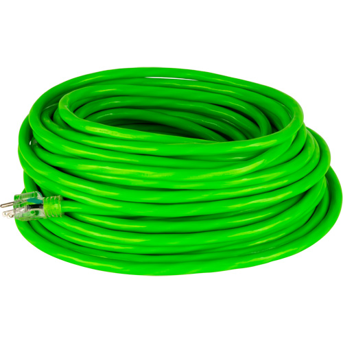 Industrial Extension Cord, All-Weather, SJTW, 10/3 AWG, 15 A, 50' WestPier