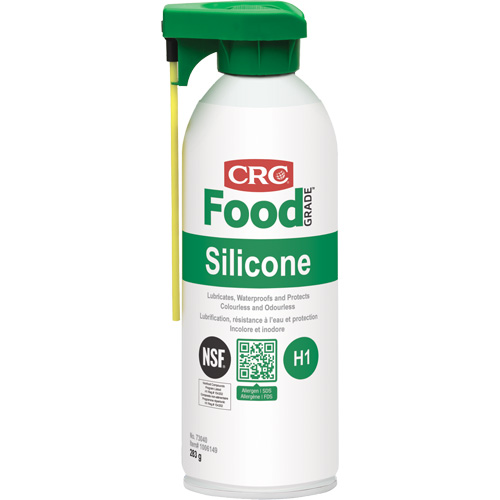 Food Plant Silicone Lubricants, Aerosol Can WestPier