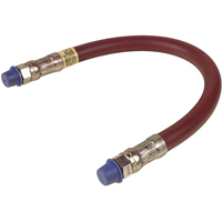 Grease Gun Extension Hoses WestPier