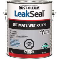 LeakSeal&reg; Ultimate Wet Roof Patch WestPier