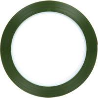 Polyester Tape, Polyester, 25.4 mm (1") W x 66 m (216') L, 1.9 mils Thick WestPier
