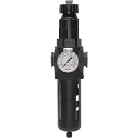 Filtre/r&eacute;gulateur Modulair 400 avec vidange manuelle, 3/4" NPT, 200 psi, Capacit&eacute; de 9,1 oz liq. WestPier