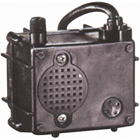 Pompes submersibles lubrifi&eacute;es par bain d'huile, 1/160 CV, 120 gal./h, 115 V, 0,5 A WestPier