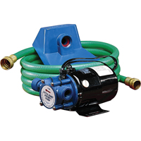 Non-Submersible, Self-Priming Plated Brass Transfer Pumps, 115 V, 360 GPH, 1/10 HP DC293 | WestPier