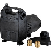 Portable Cast Iron Transfer Pump, 115 V, 950 GPH, 1/2 HP DC841 | WestPier