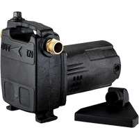 Portable Cast Iron Transfer Pump, 115 V, 950 GPH, 1/2 HP DC841 | WestPier