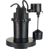 Pompe de puisard submersible thermoplastique, 2560 gal./h, 115 V, 4,6 A, 1/3 CV WestPier