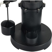 Pompe de puisard submersible thermoplastique, 2560 gal./h, 115 V, 4,6 A, 1/3 CV WestPier