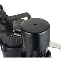 Pompe de puisard submersible thermoplastique, 2560 gal./h, 115 V, 4,6 A, 1/3 CV WestPier