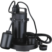Pompe de puisard submersible thermoplastique, 2560 gal./h, 115 V, 4,6 A, 1/3 CV WestPier