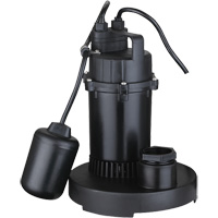 Pompe de puisard submersible thermoplastique, 2560 gal./h, 115 V, 4,6 A, 1/3 CV WestPier