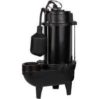 Pompe d'effluent en fonte, 4800 gal./h, 120 V, 7,8 A, 1/2 CV WestPier
