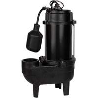 Cast Iron Sewage Pump, 120 V, 10 A, 6400 GPH, 3/4 HP DC849 | WestPier