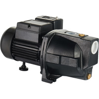 Dual Voltage Cast Iron Shallow Well Jet Pump, 115 V/230 V, 1100 GPH, 1 HP DC853 | WestPier