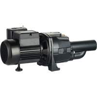 Dual Voltage Cast Iron Convertible Jet Pump, 115 V/230 V, 1400 GPH, 3/4 HP DC856 | WestPier