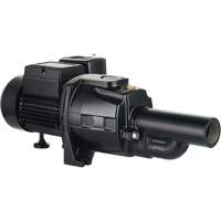 Dual Voltage Cast Iron Convertible Jet Pump, 115 V/230 V, 1400 GPH, 3/4 HP DC856 | WestPier