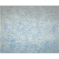 Filtres en m&eacute;dias synth&eacute;tiques &agrave; arrestance &eacute;lev&eacute;e, Tampon, MERV 5, 24" la x 2" p x 12" h WestPier