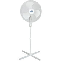 Oscillating Pedestal Fan, Commercial, 3 Speed, 18" Diameter EA551 | WestPier