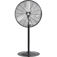 Oscillating Pedestal Fan, Heavy-Duty, 2 Speed, 30" Diameter WestPier