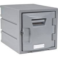 Locker, 12" x 15" x 12", Grey, Assembled FH725 | WestPier