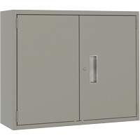 Armoire murale, Acier, 2 Tablettes, 30" h x 36" la x 12" P, Gris WestPier