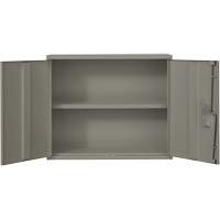 Armoire murale, Acier, 2 Tablettes, 30" h x 36" la x 12" P, Gris WestPier