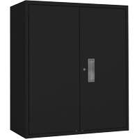 Armoire de rangement Lo-Boy, Acier, 2 Tablettes, 42" h x 36" la x 18" P, Noir WestPier