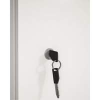 Cabinet Lock & Keys FL809 | WestPier
