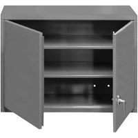 Wall-Mounted Cabinet, 27" H x 29-7/8" W x 13-11/16" D, 2 Shelves, Steel, Grey FL992 | WestPier