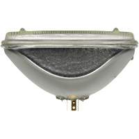 Phare automobile scell&eacute; XtraVision H6054, Halog&egrave;ne, 55 W, Blanc cass&eacute; WestPier