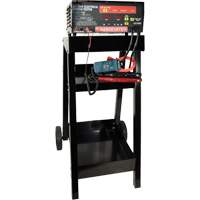 Automatic Battery & Electrical System Tester with Cart WestPier