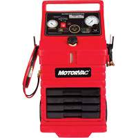 CarbonClean 245 Gasoline Engine System WestPier