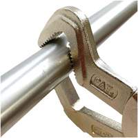 Sway Bar Parrot Pliers WestPier