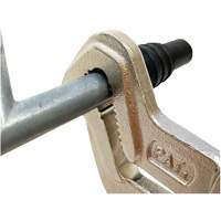 Sway Bar Parrot Pliers WestPier