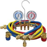 Automotive Manifold Gauge Set with Economy Couplers & Tank Adapter WestPier